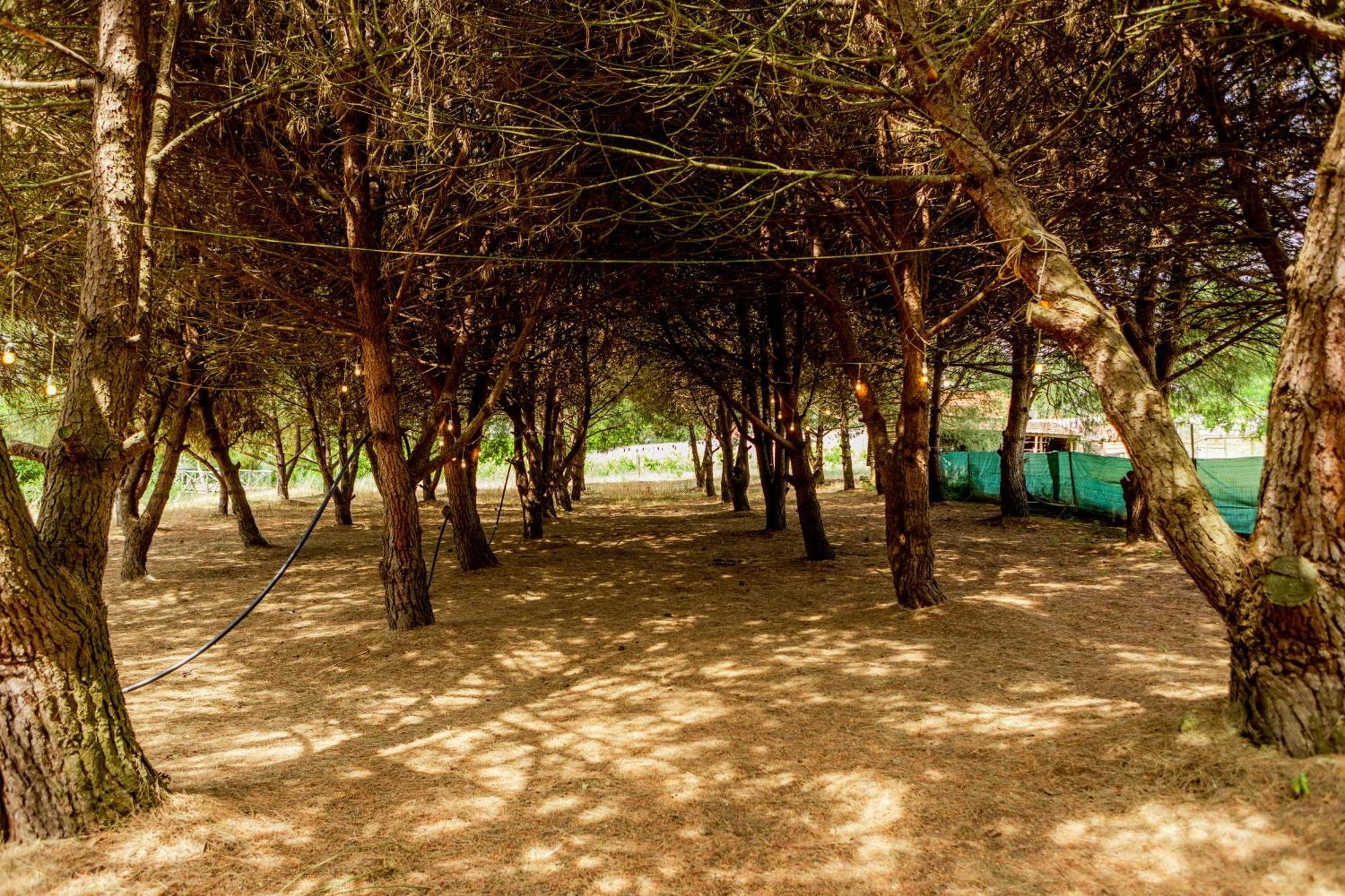 Quinta O Refugio Villa Azambuja Luaran gambar