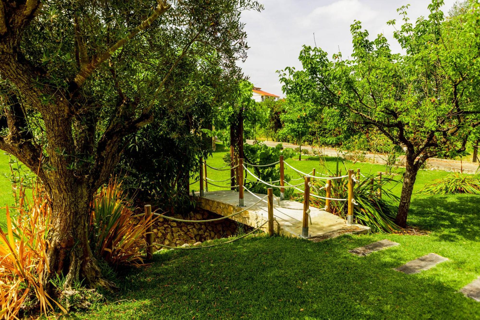 Quinta O Refugio Villa Azambuja Luaran gambar