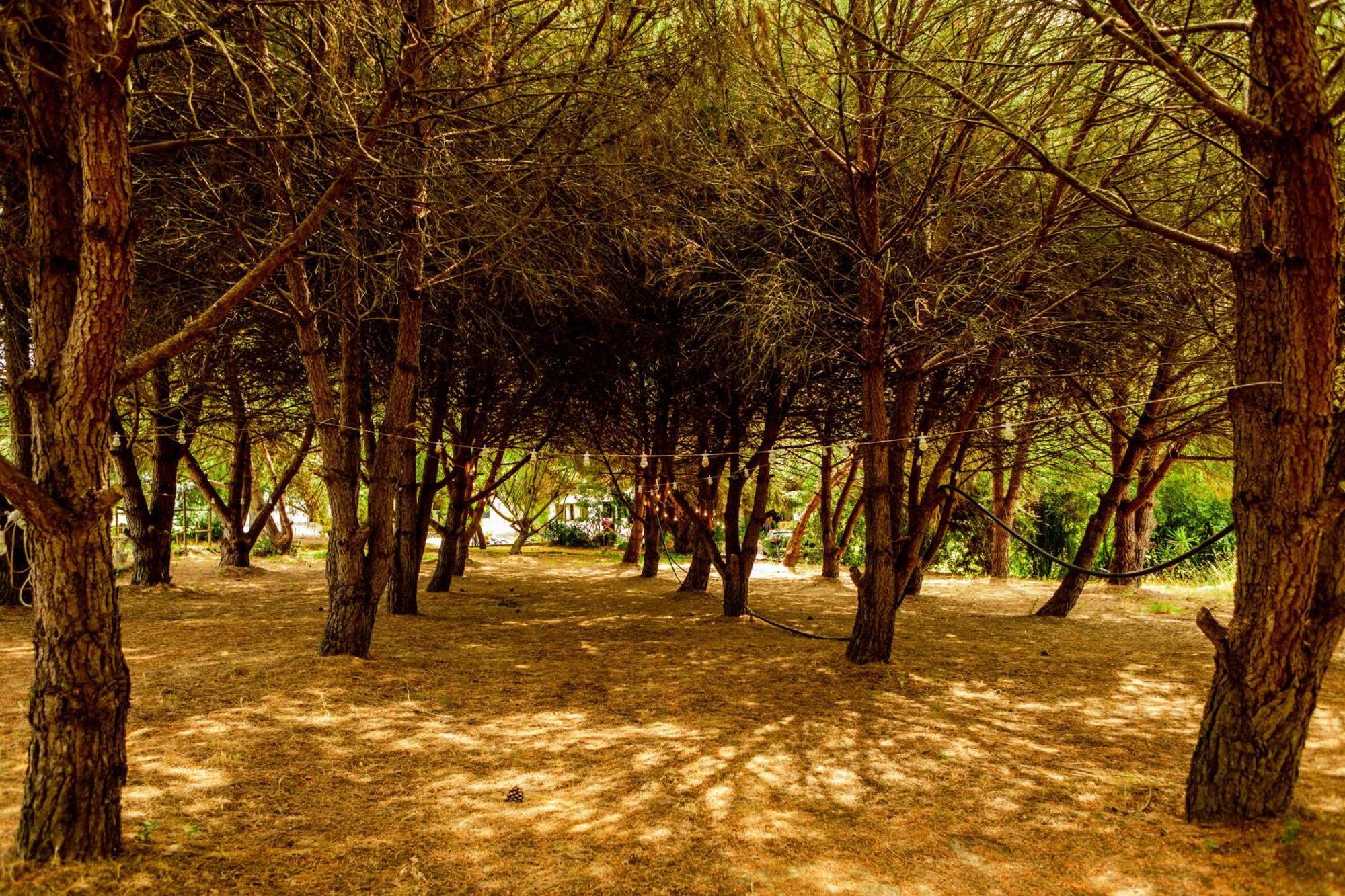 Quinta O Refugio Villa Azambuja Luaran gambar
